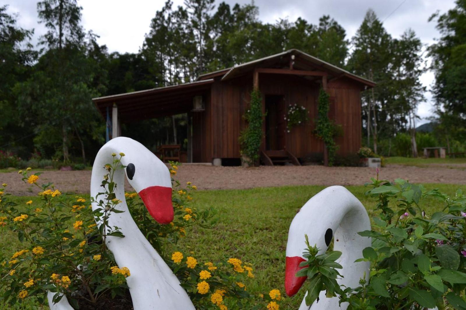 Pousada Dos Sonhos - Timbe Do Sul エクステリア 写真